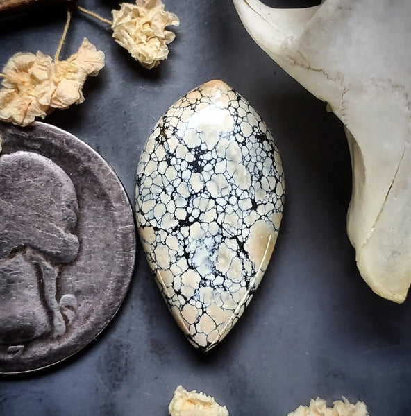 Ivory Creek Variscite Drop Cabochon