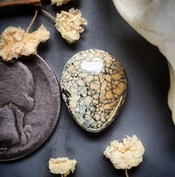 Ivory Creek Variscite Drop Cabochon