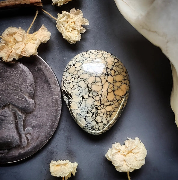 Ivory Creek Variscite Drop Cabochon