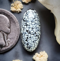 Ivory Creek Variscite Oval Cabochon
