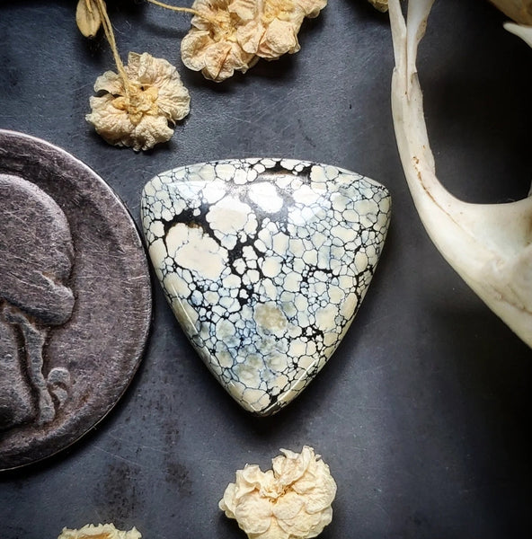 Ivory Creek Variscite Trillion Cabochon