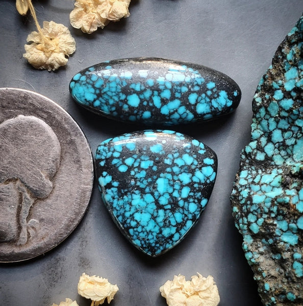 Natural Moon River Turquoise Trillion Oval Set Cabochon