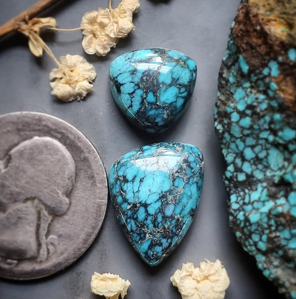 Natural Moon River Turquoise Trillion Set Cabochon