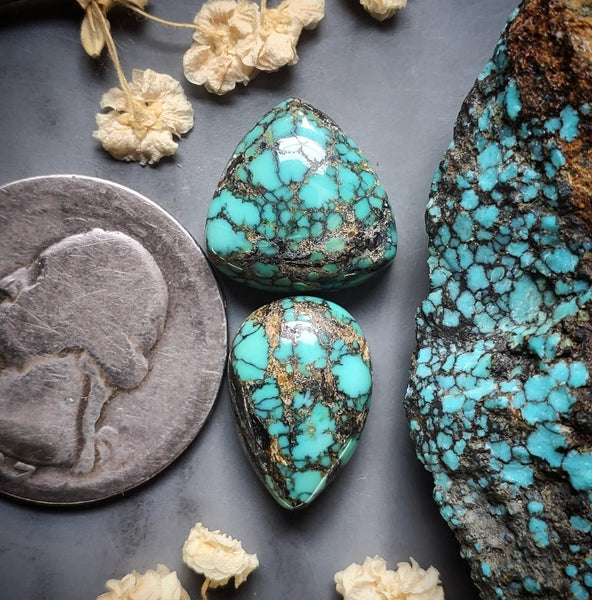 Natural Moon River Turquoise Drop Trillion Set Cabochon