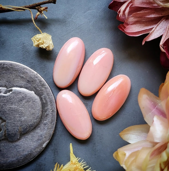 Bahamian Pink Conch Shell Oval Set Cabochon