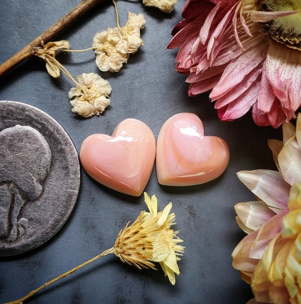 Bahamian Pink Conch Shell Heart Set Cabochon