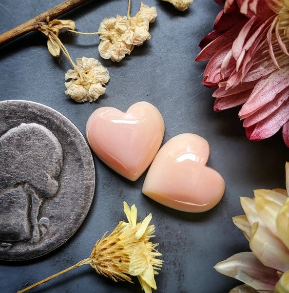 Bahamian Pink Conch Shell Heart Set Cabochon