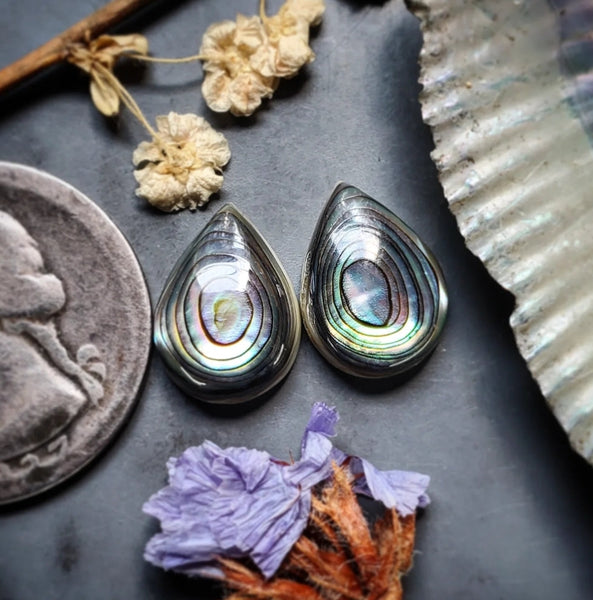 Abalone Shell Drop Earring Pair Cabochon