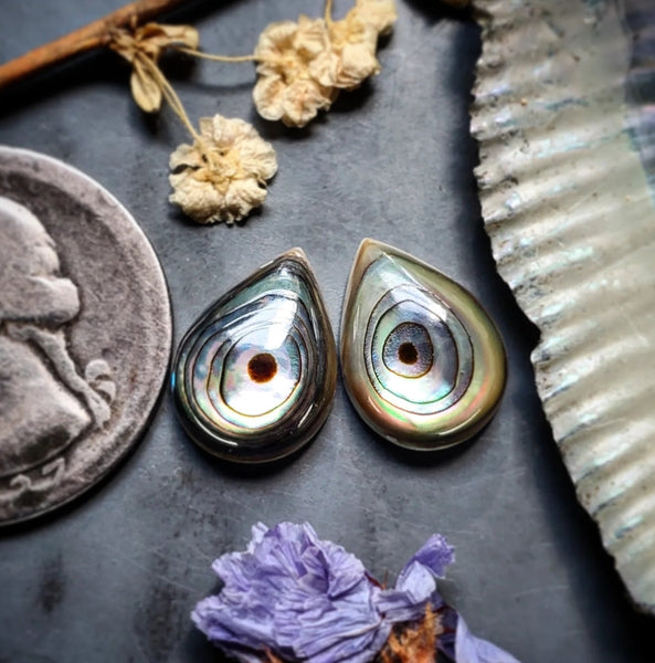 Abalone Shell Drop Earring Pair Cabochon