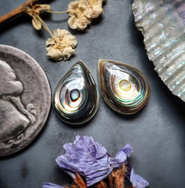 Abalone Shell Drop Earring Pair Cabochon