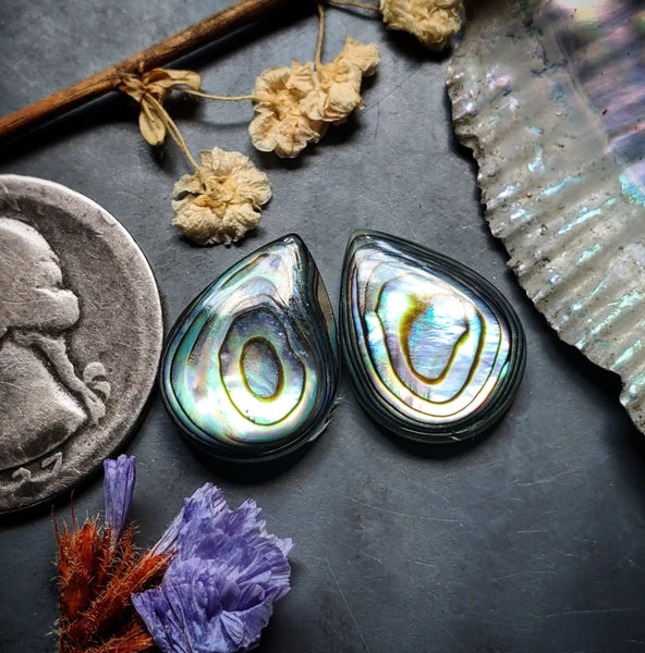 Abalone Shell Drop Earring Pair Cabochon