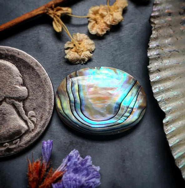 Abalone Shell Oval  Cabochon