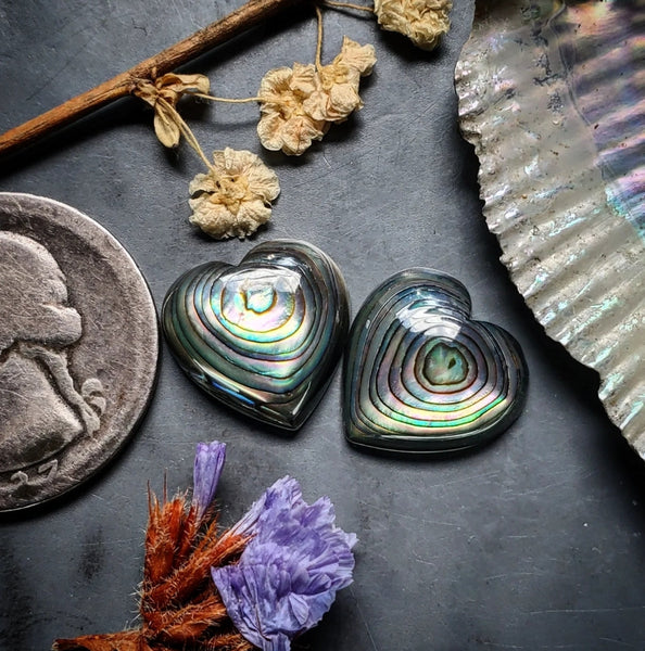 Abalone Shell Heart Pair Cabochon