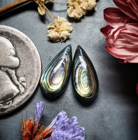 Abalone Shell Drop Earring Pair Cabochon