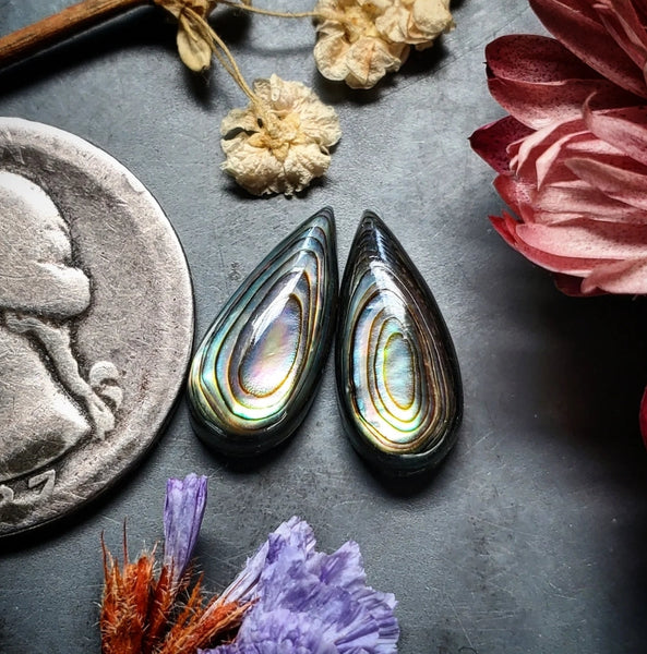Abalone Shell Drop Earring Pair Cabochon