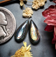 Abalone Shell Drop Earring Pair Cabochon