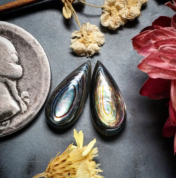 Abalone Shell Drop Earring Pair Cabochon