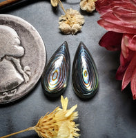 Abalone Shell Drop Earring Pair Cabochon
