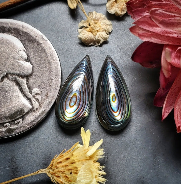 Abalone Shell Drop Earring Pair Cabochon