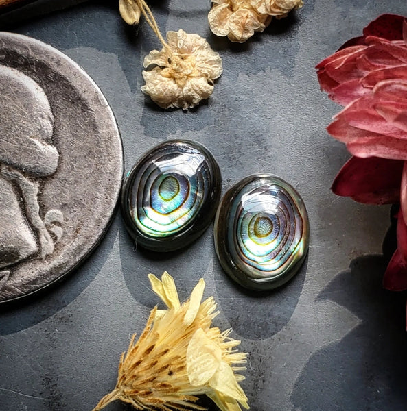 Abalone Shell Tiny Oval Pair Cabochon