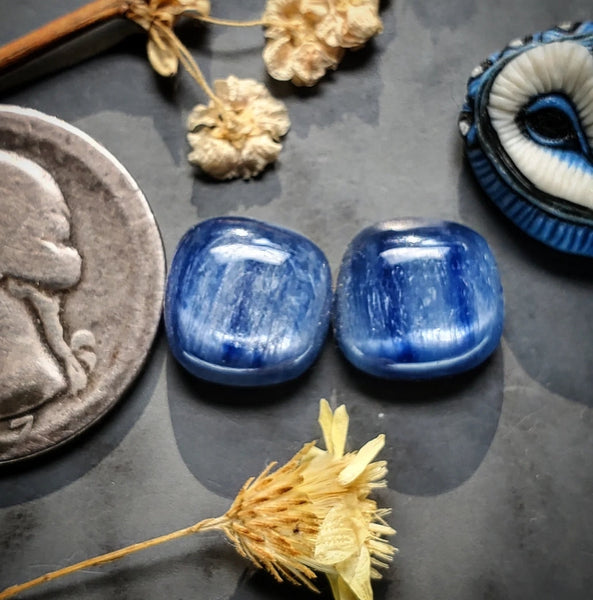Kyanite Freeform Earring Pair Cabochon