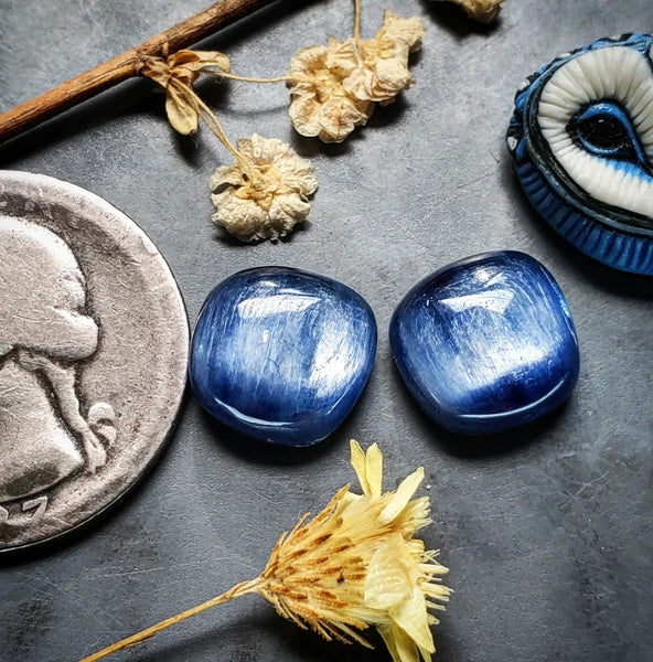 Kyanite Freeform Earring Pair Cabochon