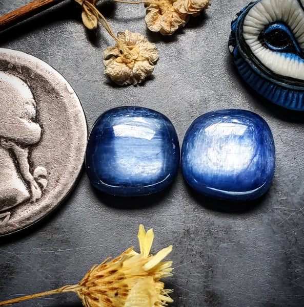 Kyanite Freeform Earring Pair Cabochon