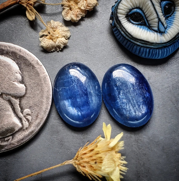 Kyanite Oval Earring Pair Cabochon
