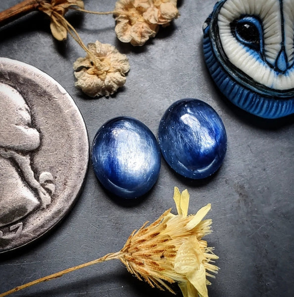 Kyanite Oval Earring Pair Cabochon
