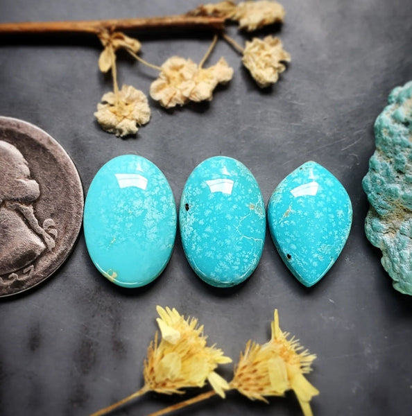 Campitos Turquoise Oval Drop Set Cabochon