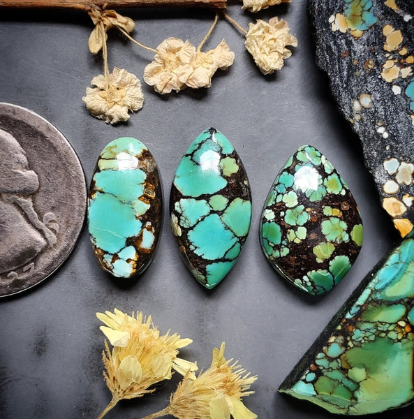 Polychrome Qingu Oval Drop Turquoise Set Cabochon