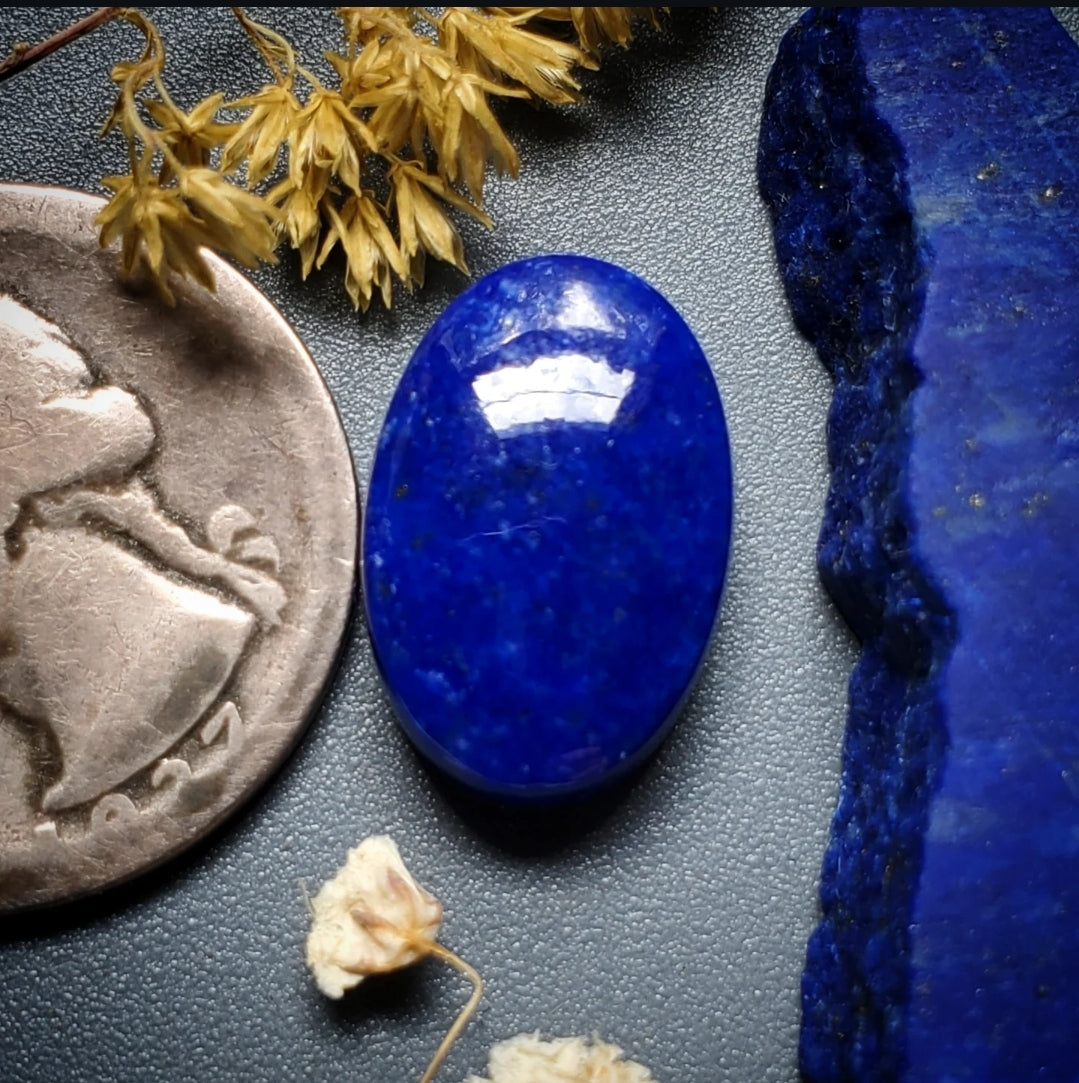 Lapis Lazuli Oval 23x16mm Cab | Turquoise Obsession