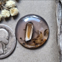 Turkish Stick Agate Round Cabochon