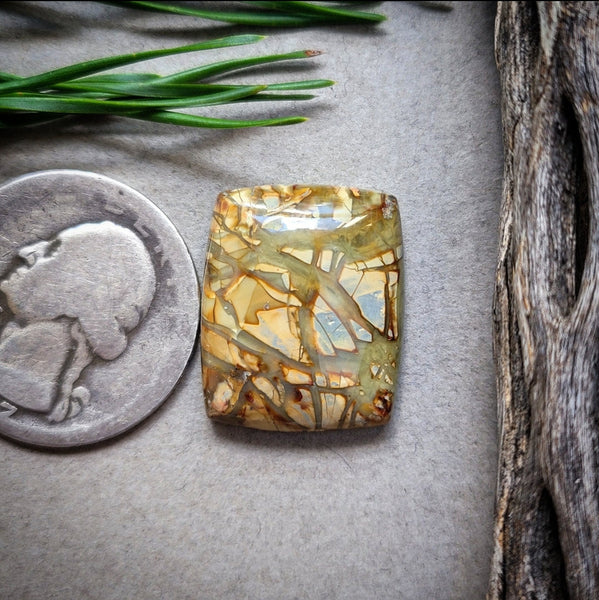Morrisonite Cushion Cabochon