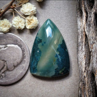 Hava Ridge Jasper Shield Cabochon