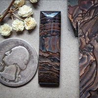Deschutes Jasper Bar Cabochon