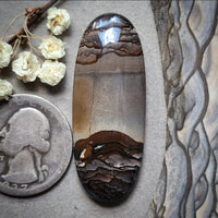 Deschutes Jasper Long Oval Cabochon