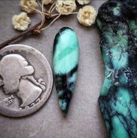Desert Oasis Variscite Teardrop Cabochon