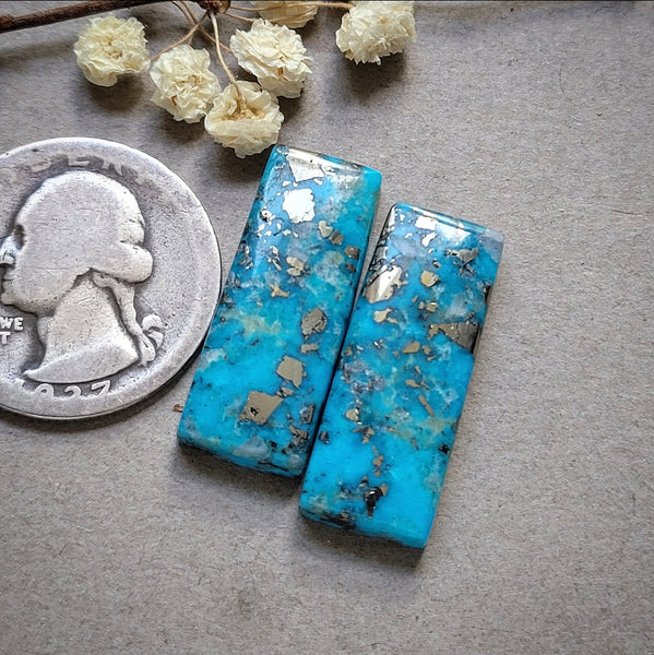 P. Blue Bar Pair Cabochon