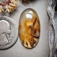 Montana Agate Oval Cabochon