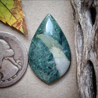 Hava Ridge Jasper Freeform Cabochon