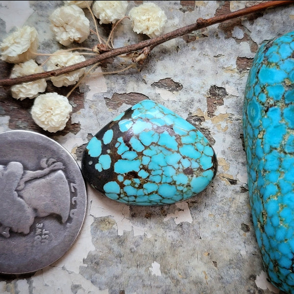 #8 Turquoise Freeform Cabochon