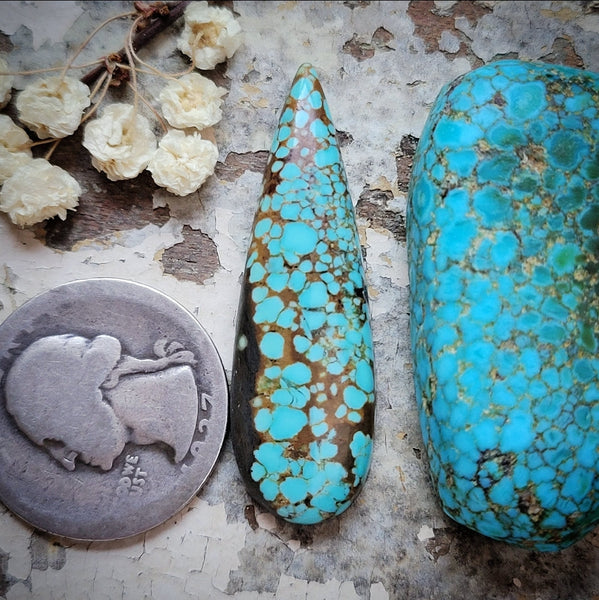 #8 Turquoise Talon Cabochon