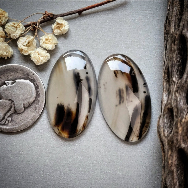 Montana Agate Oval Pair Cabochon