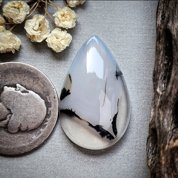 Montana Agate Drop Cabochon