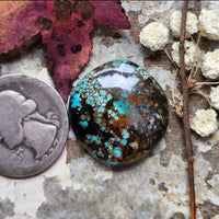 Harlequin Hubei Sexy Shape Cabochon