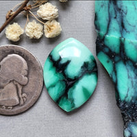 Desert Oasis Marquise Cabochon