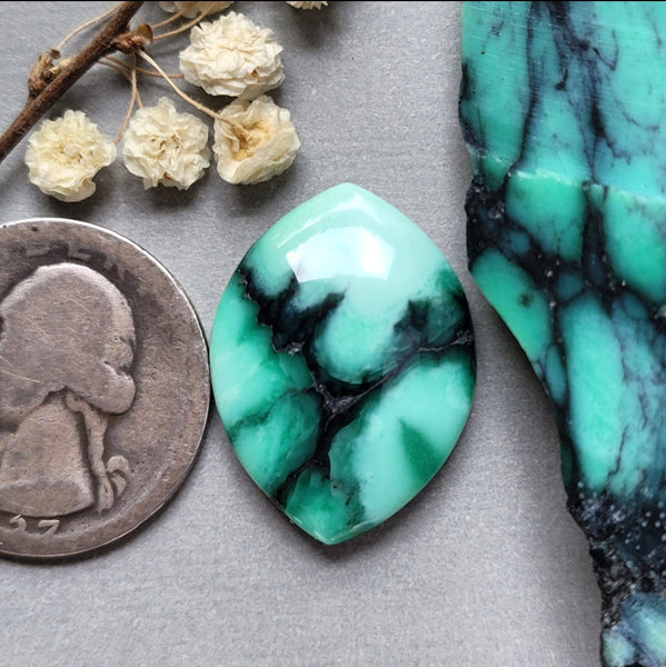 Desert Oasis Marquise Cabochon