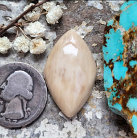 WMT Freeform Cabochon