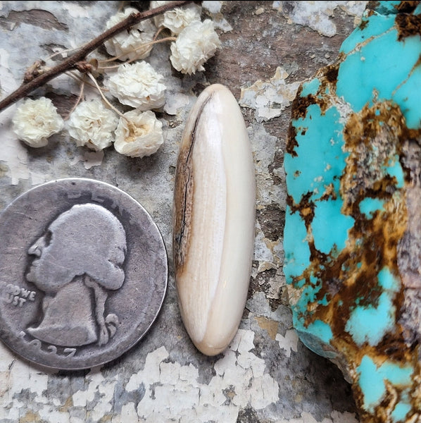 WMT Skinny Oval Cabochon